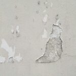Solutions for Peeling Paint on Condo Walls