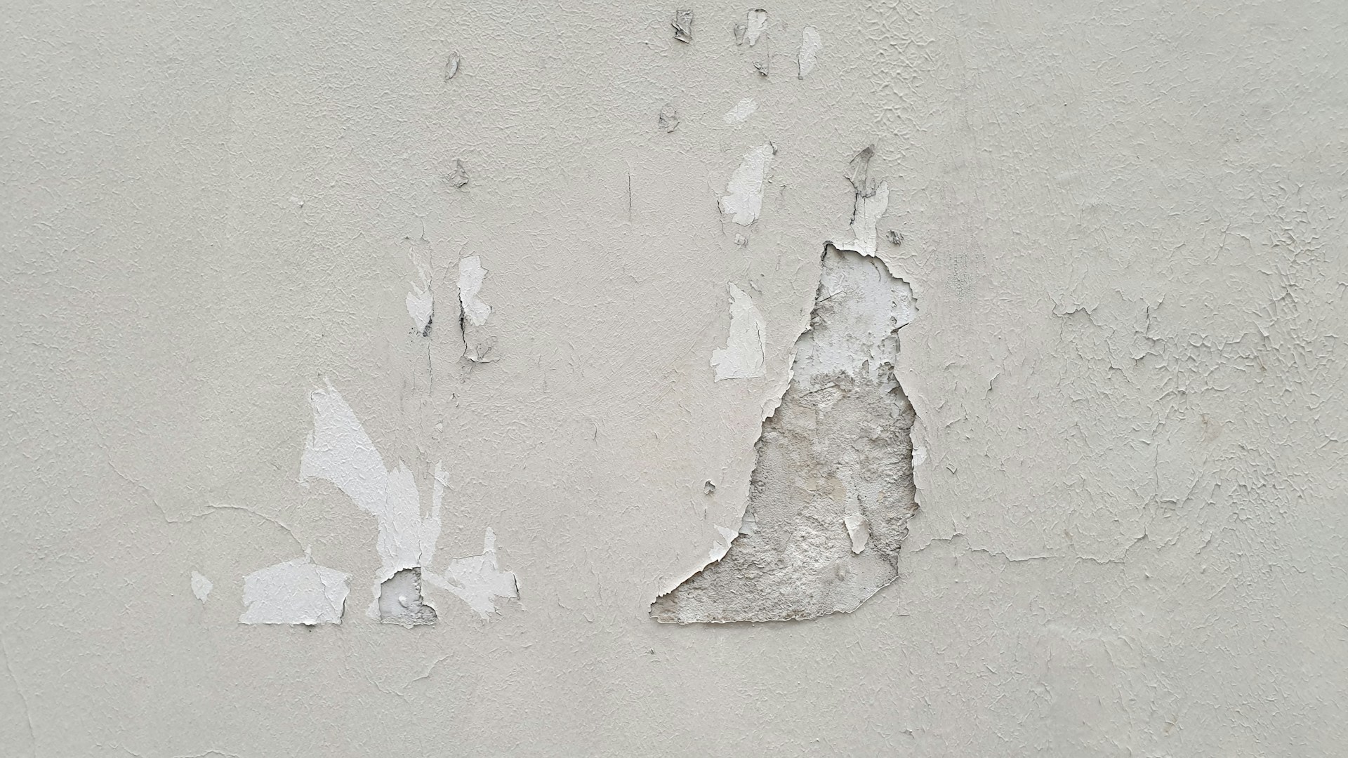 Solutions for Peeling Condo Walls