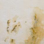 How Water Damage Affects Your Interior Paint and What to Do About It
