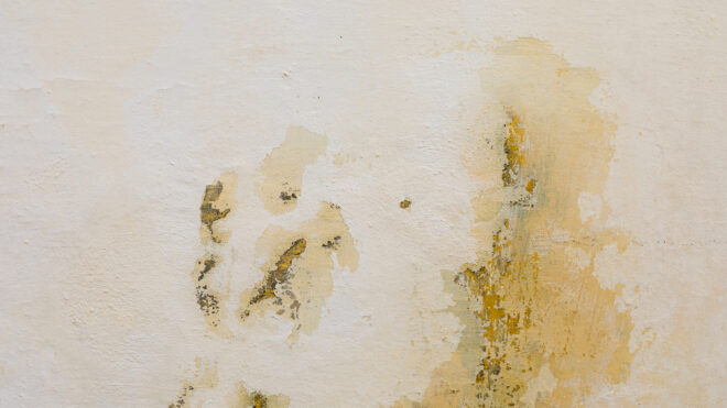 damaged interior paint
